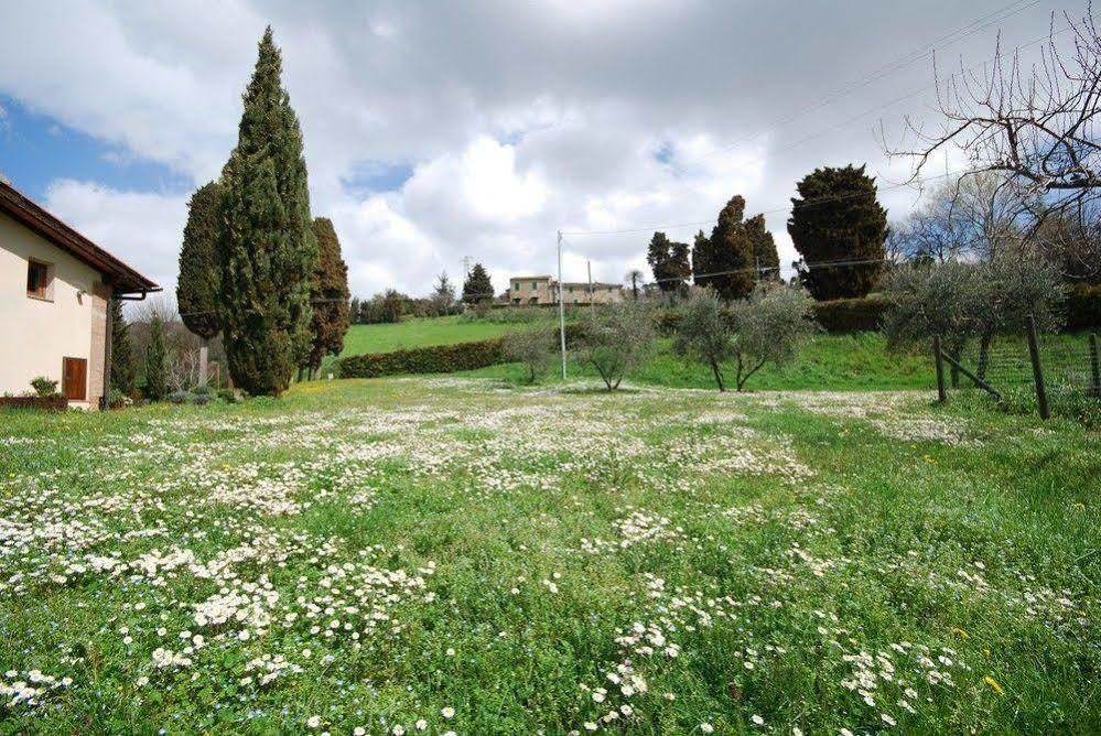 Agriturismo Villa Opera ヴォルテッラ エクステリア 写真